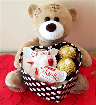 I Love You Diyen Konuşan Ayıcık Rocher ve Raffaello Çikolata Gül Işıklı Fanus HEDİYE