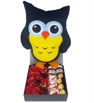 Sevgiliye Hediye Kırmızı Gül Kutusunda Karışık Çikolata 3D Baykuş Yastık Hediye HEDİYE